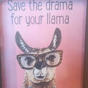 Meet your Posher, Ana